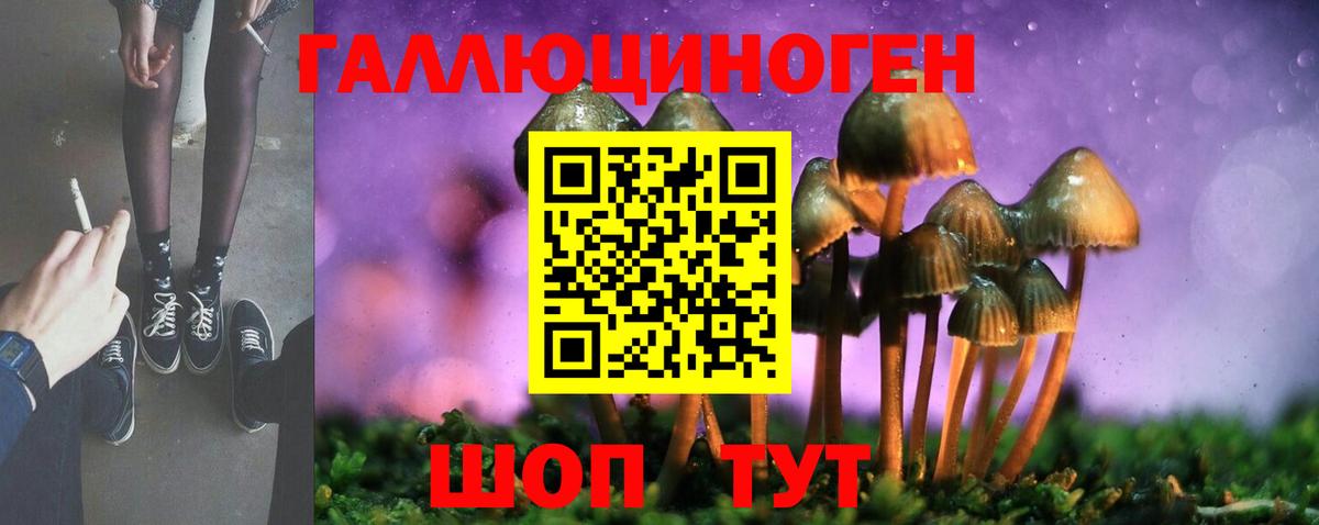 Галлюциногенные грибы ЛСД Камень-на-Оби